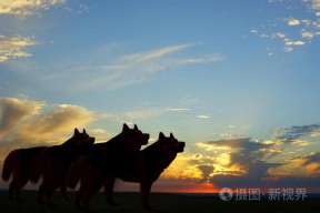 KAIYUN SPORTS官网-关于举重夜战：江汉飞鹰队绝杀皖南犀牛队，速度优势明显黑马成最大惊喜的信息